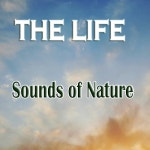 치유/더 라이프(The Life) - 벅스 치유 / 더 라이프(The Life)