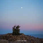 Romance de la Luna - 벅스 Romance de la Luna / Laura Di Vaio