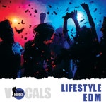(주)이디엠라이프 | Lifestyle EDM - 벅스 Lifestyle EDM / Atomica Music