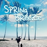 투명함을 내 작은 손안에/스프링 브리즈(Spring Breeze) - 벅스 투명함을 내 작은 손안에 / 스프링 브리즈(Spring Breeze)