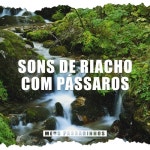 Sons de Riacho com Pássaros - 벅스 Sons de Riacho com Pássaros / Meus Passarinhos