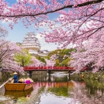 Blossom - 벅스 Blossom / LA Studios