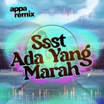 Ssst Ada Yang Marah - 벅스 Ssst Ada Yang Marah / Appa Remix