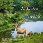기쁨으로 노래하라 (Sing With Joy)/안산 시립 합창단(Ansan City Choir) - 벅스 기쁨으로 노래하라 (Sing With Joy) / 안산 시립... 