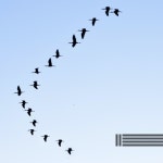 새와 숲의 소리 - 벅스 새와 숲의 소리 / 새와 숲의 소리