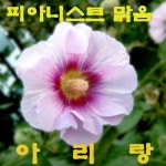 아리랑벅스네츄럴 | 아리랑 - 벅스 아리랑 / 맑음
