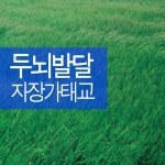 두뇌발달 자장가 태교 - 벅스 두뇌발달 자장가 태교 / Various Artists