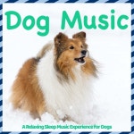 Dog Music - A Relaxing Sleep Music Experience for Dogs - 벅스 Dog Music - A Relaxing Sleep Music Experience for Dogs... 