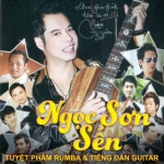 Tuyệt Phẩm Rumba Và Tiếng Đàn Guitar: Sến - 벅스 Tuyệt Phẩm Rumba Và Tiếng Đàn Guitar: Sến / Ngọc Sơn