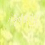 사랑에 빠진 뇌 - 벅스 사랑에 빠진 뇌 / 갓피플(God People)