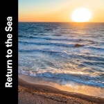 Return to the Sea - 벅스 Return to the Sea / Sounds of Nature Noise, Wave Sound Group, Waters Of Deluge