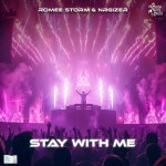 Stay With Me - 벅스 Stay With Me / Romee Storm, NRGizer