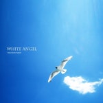 White Angel - 벅스 White Angel / 박근수