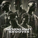 Moonlight Grooves - 벅스 Moonlight Grooves / Vivian Oakhurst