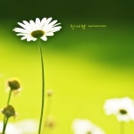 어느 봄날의 설레임/피아노 라떼 - 벅스 어느 봄날의 설레임 / 피아노 라떼