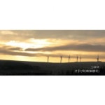 연풍연화 (軟風戀花) - 벅스 연풍연화 (軟風戀花) / 그리다