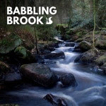 Babbling Brook - 벅스 Babbling Brook / Nature Soundscapes, The Nature Soundscapes