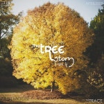 주님의 숲/The Trace - 벅스 주님의 숲 / The Trace