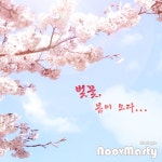 벚꽃, 봄이 오다 - 벅스 벚꽃, 봄이 오다 / 누브마티(Noov Marty)