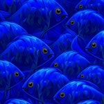 Blue Blue Fish - 벅스 Blue Blue Fish / apoptosis