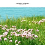 첫사랑의 설레임이 있는 클래식 피아노 - 벅스 첫사랑의 설레임이 있는 클래식 피아노 / Various Artists