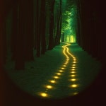 No Time to Look Back - 벅스 No Time to Look Back / Nova Pulse