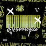 AUTOMOTIVO NEUROLÓGICO - 벅스 AUTOMOTIVO NEUROLÓGICO / DJ Mk 011, DJ NVS, DJ Kaue Da ZO