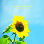 해바라기의 꿈을 담은 뉴에이지 피아노 - 벅스 해바라기의 꿈을 담은 뉴에이지 피아노 / Various Artists