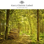 고전 음악의 숲을 거닐다 - 벅스 고전 음악의 숲을 거닐다 / Various Artists