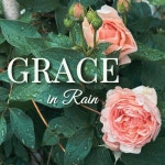 주식회사 그레이스풀레인 (Graceful Rain Co., Ltd.) | Grace in Rain - 벅스 Grace in Rain / Mellow Garden | Music