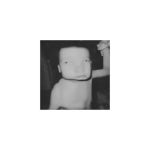 N̈u Diamond - 벅스 N̈u Diamond / Dijon