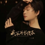 我不再当傻瓜 - 벅스 我不再当傻瓜 / 大潞