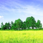 햇살 내리는 날 - 벅스 햇살 내리는 날 / 꽃내림