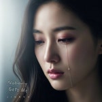 노바디(NoVa-D)붙임머리 | Nobody Gets Me - 벅스 Nobody Gets Me / Jinova