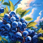 Here We Go Around the Mulberry Bush/Ethan Corvell - 벅스 Here We Go Around the Mulberry Bush / Ethan Corvell