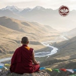 Sangha Dreams - 벅스 Sangha Dreams / Healing Meditation Zone