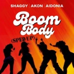 Boom Body (Sped Up) - 벅스 Boom Body (Sped Up) / Shaggy(섀기), Akon(에이콘), Aidonia