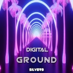 Digital Ground - 벅스 Digital Ground / Silver9