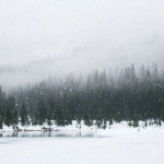 Piano Playlist 14 - 벅스 Piano Playlist 14 / 피아노의 숲