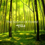 숲의 소리(2022 Ver.)/DQ - 벅스 숲의 소리(2022 Ver.) / DQ