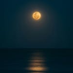 Moonlight Promise - 벅스 Moonlight Promise / Moon Rabbit