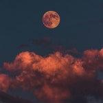 Letters to the Moon - 벅스 Letters to the Moon / Moon Rabbit