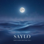 꿀잠 루틴 Vol.1: 달빛 아래 고요한 밤 - 벅스 꿀잠 루틴 Vol.1: 달빛 아래 고요한 밤 / SAYLO