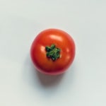 TOMATO - 벅스 TOMATO / 토마토