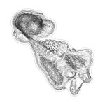 라디오맨/미소지음 - 벅스 라디오맨 / 미소지음