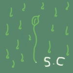 피지 못한 꽃들의 이야기 - 벅스 피지 못한 꽃들의 이야기 / 사운드 컬럼(Sound Column)