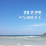 시원한 여름 밤의 플룻 소리/핑크뮤직 - 벅스 시원한 여름 밤의 플룻 소리 / 핑크뮤직