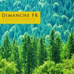 아름다운 숲으로 인도하는 편안한 클래식 선율 - 벅스 아름다운 숲으로 인도하는 편안한 클래식 선율 / 명상과 휴식