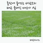 들판에 불어오는 바람소리 태교 클래식 자장가 1집 - 벅스 들판에 불어오는 바람소리 태교 클래식 자장가 1집 / 태교피아노