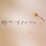 벚꽃이 진다고 그대를 잊은 적 없다 - 벅스 벚꽃이 진다고 그대를 잊은 적 없다 / 안(Ahn)